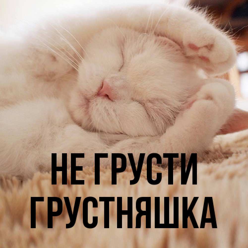 Открытка на каждый день с именем, Грустняшка Не грусти Котенок спит Прикольная открытка с пожеланием онлайн скачать бесплатно 