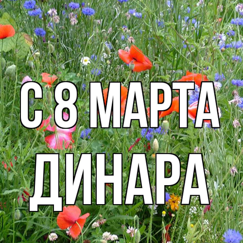 Открытка на каждый день с именем, Динара C 8 МАРТА международный женский день 4 Прикольная открытка с пожеланием онлайн скачать бесплатно 