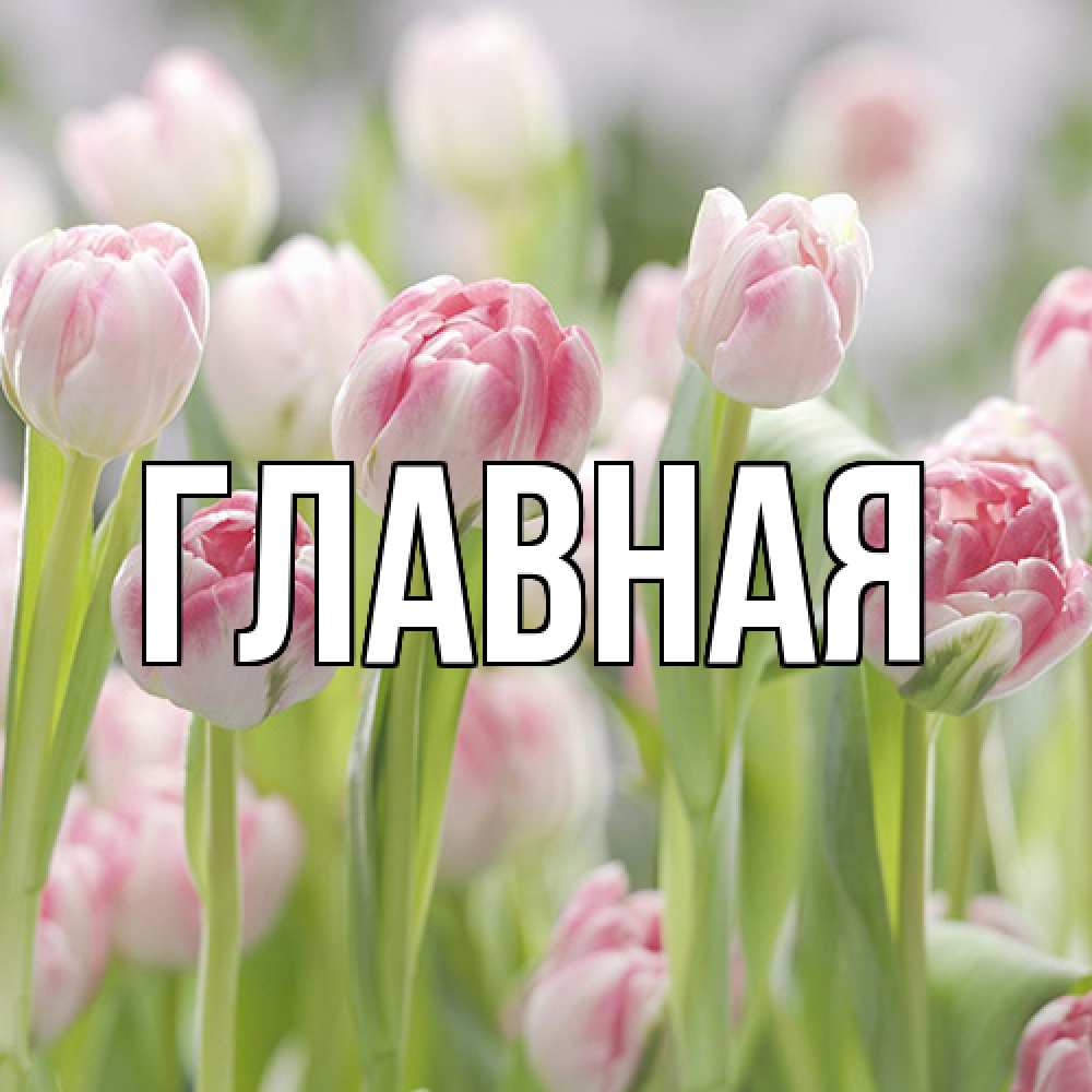 Открытка на каждый день с именем, Марьяна Главная цветы Прикольная открытка с пожеланием онлайн скачать бесплатно 