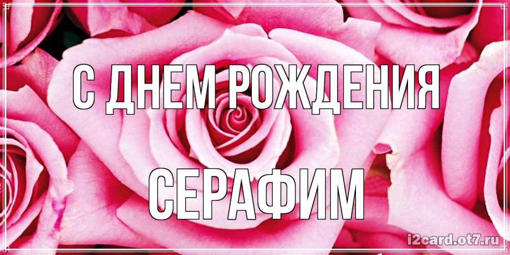 Открытка на каждый день с именем, Серафим С днем рождения открытка с розовой розой на день рождения Прикольная открытка с пожеланием онлайн скачать бесплатно 