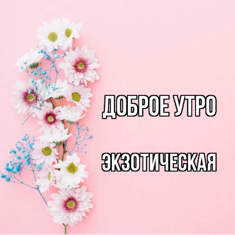 Картинка Доброе утро, Экзотическая