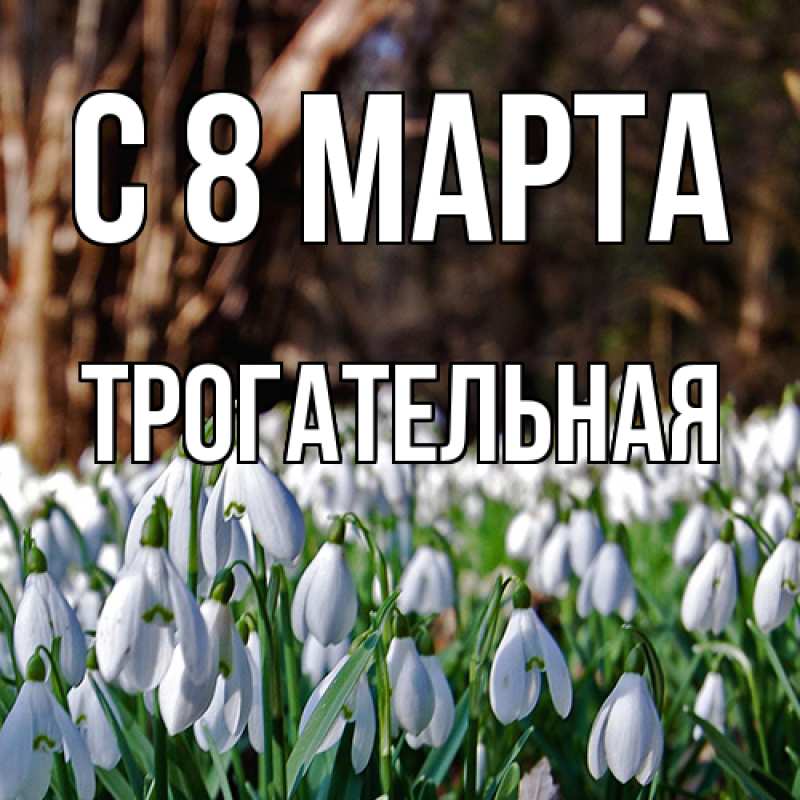 Картинка C 8 МАРТА, Тpогательная