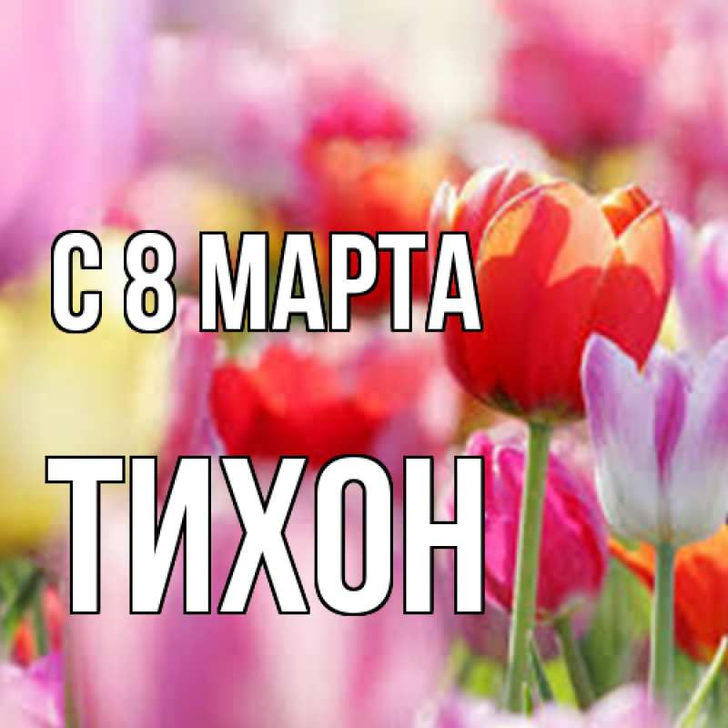 Картинка C 8 МАРТА, Тихон