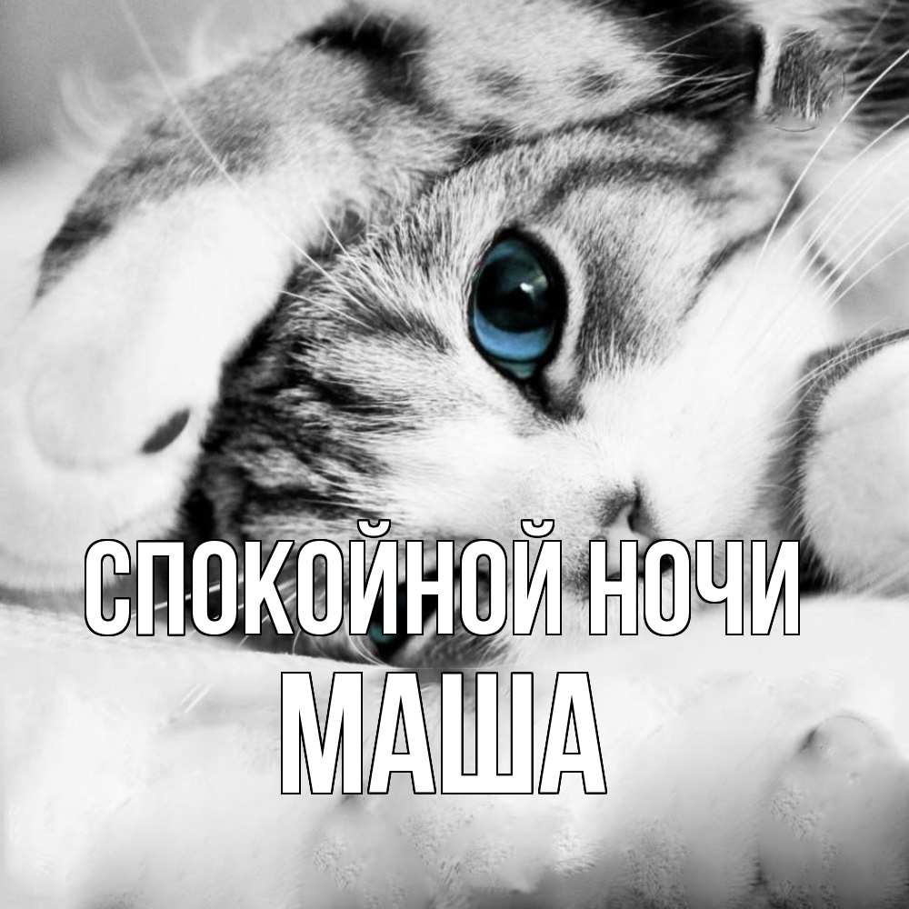 Открытка на каждый день с именем, Маша Спокойной ночи кот устал Прикольная открытка с пожеланием онлайн скачать бесплатно 