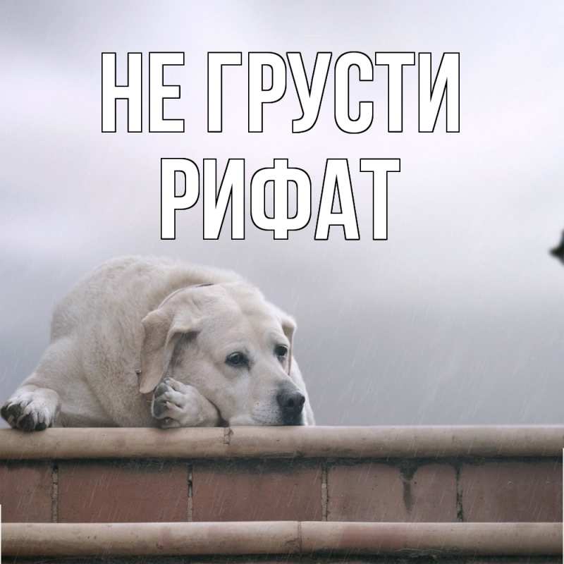 Картинка Не грусти, Рифат