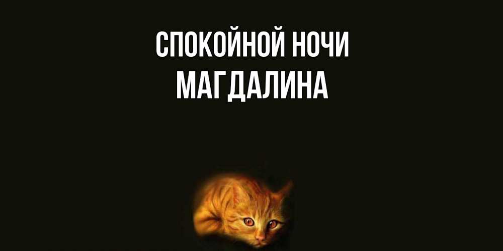 Открытка на каждый день с именем, Магдалина Спокойной ночи кот Прикольная открытка с пожеланием онлайн скачать бесплатно 