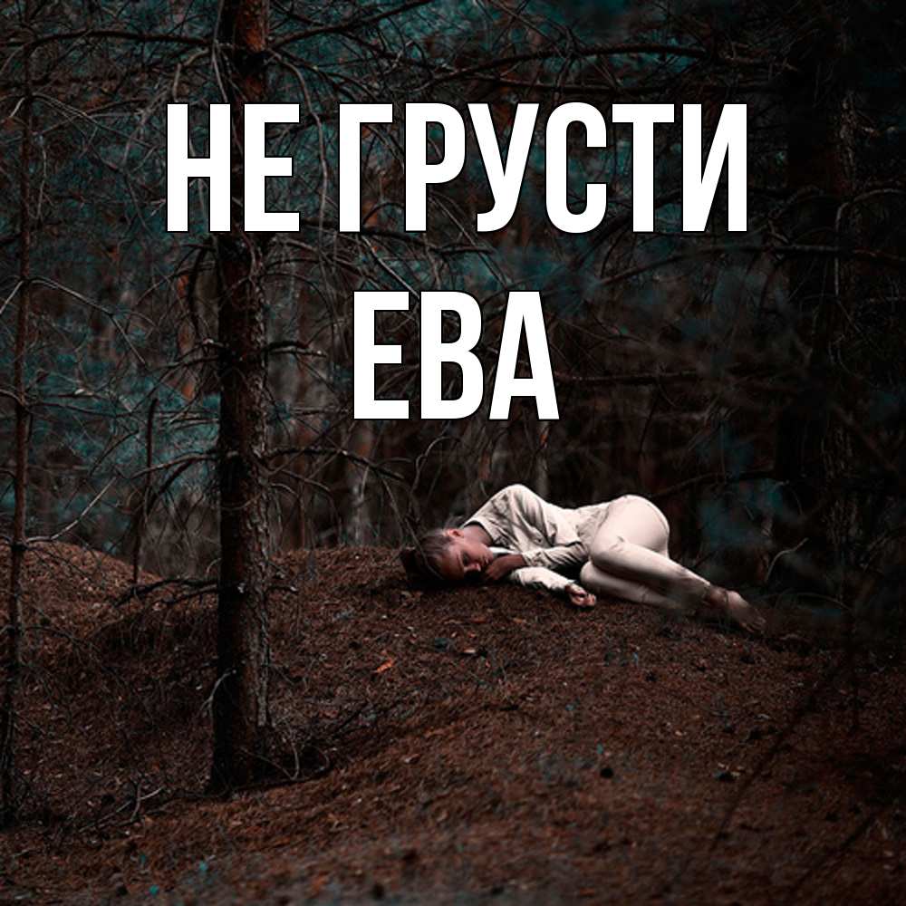 Открытка на каждый день с именем, Ева Не грусти лес Прикольная открытка с пожеланием онлайн скачать бесплатно 