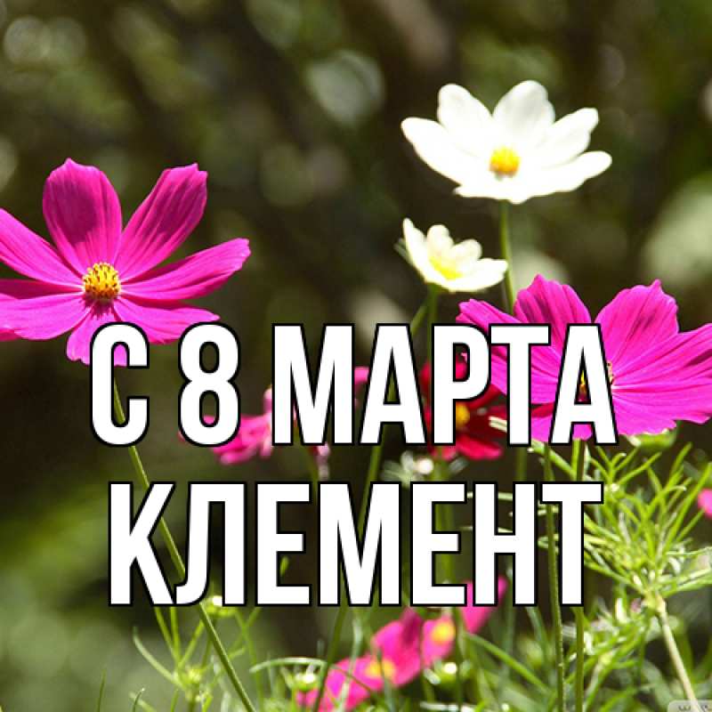 Картинка C 8 МАРТА, Клемент