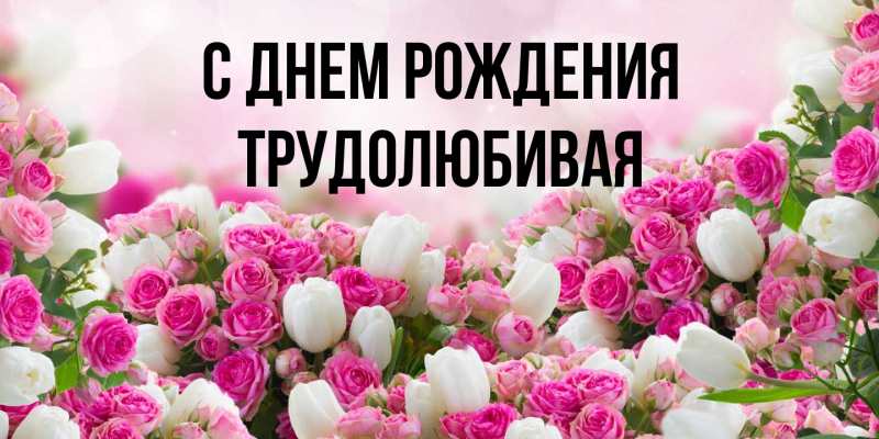 Картинка С днем рождения, Тpудолюбивая