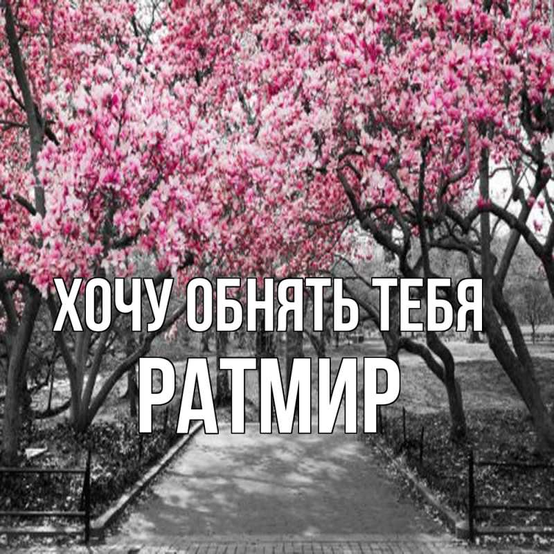 Картинка Хочу обнять тебя, Ратмир
