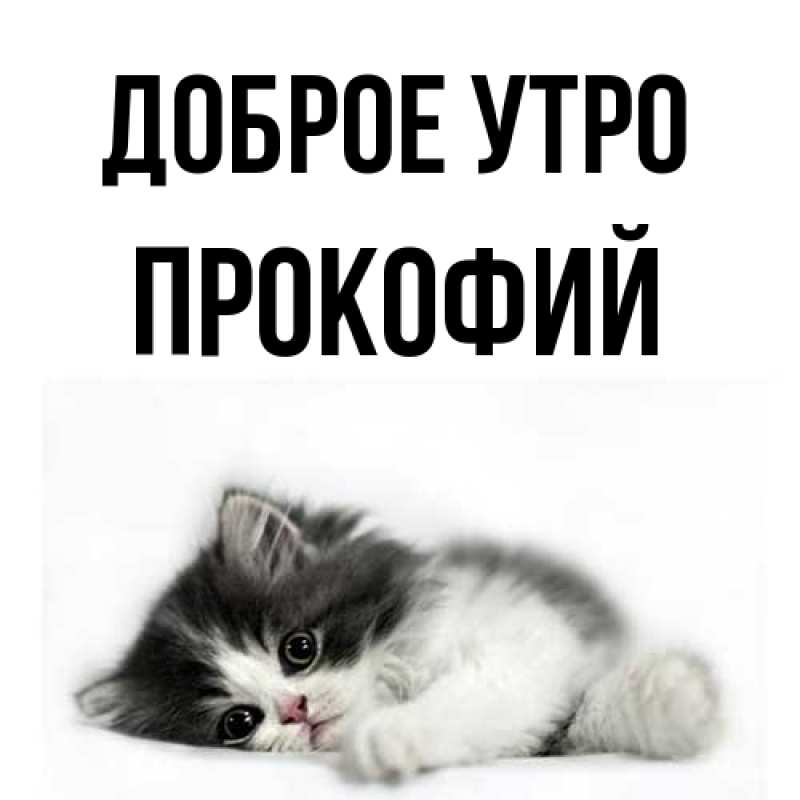 Картинка Доброе утро, Прокофий