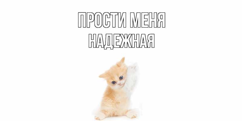 Картинка Прости меня, надежная