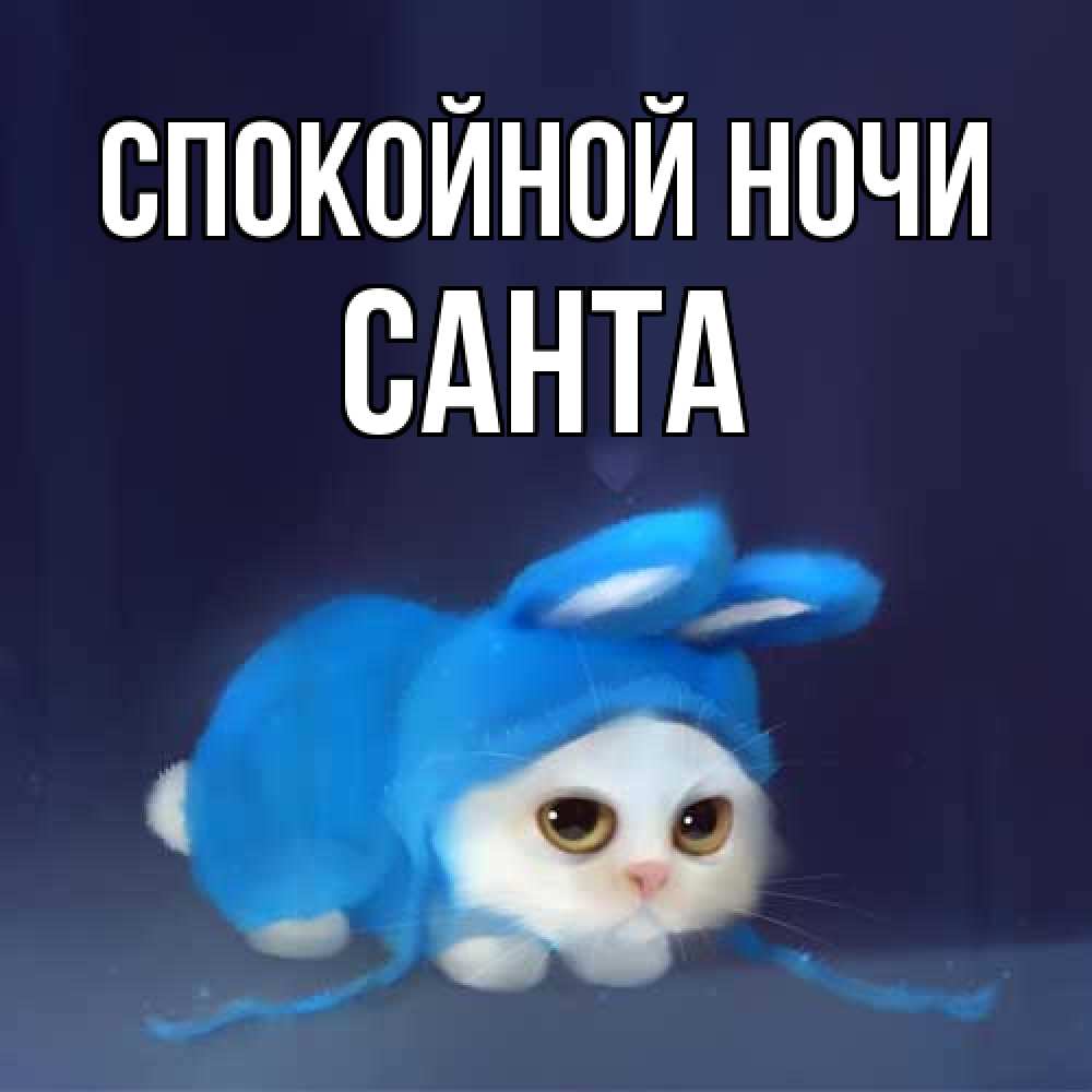 Открытка на каждый день с именем, Санта Спокойной ночи кот в голубом костюме кролика с ушками Прикольная открытка с пожеланием онлайн скачать бесплатно 