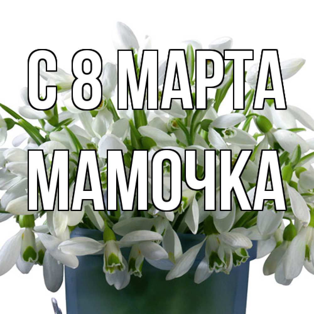 Открытка на каждый день с именем, Мамочка C 8 МАРТА цветы к международному женскому дню Прикольная открытка с пожеланием онлайн скачать бесплатно 