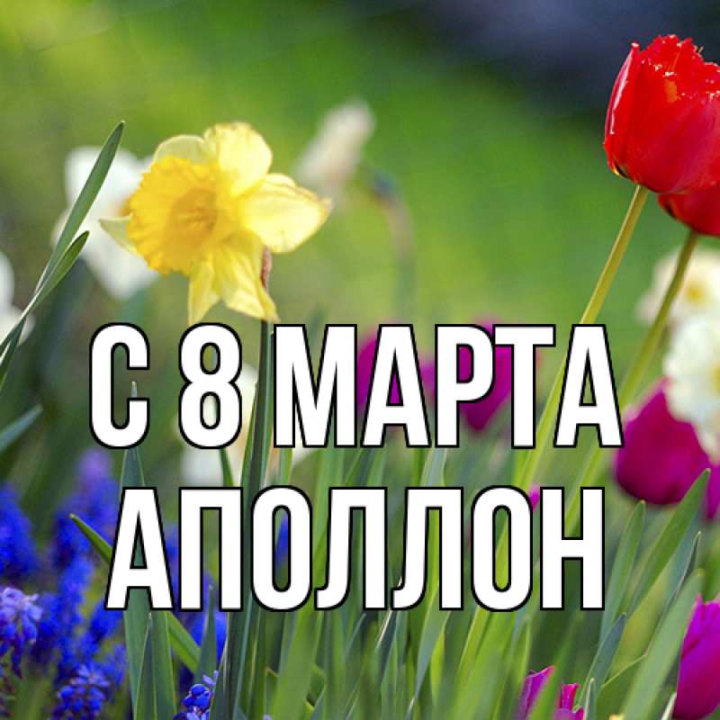 Картинка C 8 МАРТА, Аполлон