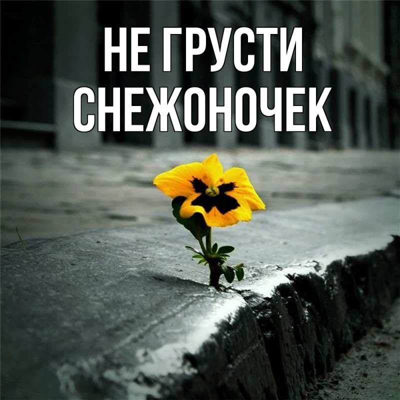 Картинка Не грусти, Снежоночек