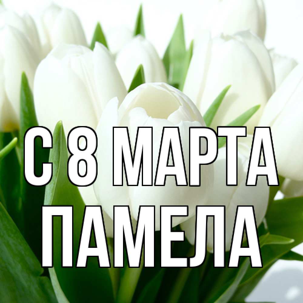 Открытка на каждый день с именем, Памела C 8 МАРТА цветы Прикольная открытка с пожеланием онлайн скачать бесплатно 