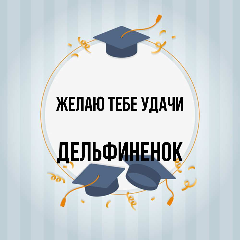 Открытка на каждый день с именем, дельфиненок Желаю тебе удачи для студентов Прикольная открытка с пожеланием онлайн скачать бесплатно 