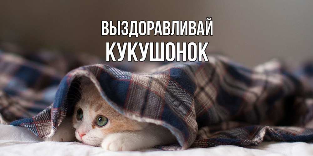 Открытка на каждый день с именем, кукушонок Выздоравливай не болейте с котиком Прикольная открытка с пожеланием онлайн скачать бесплатно 
