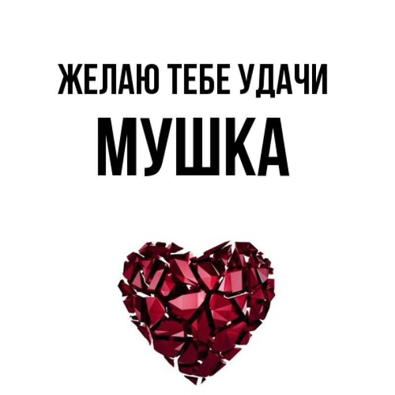 Картинка Желаю тебе удачи, мушка