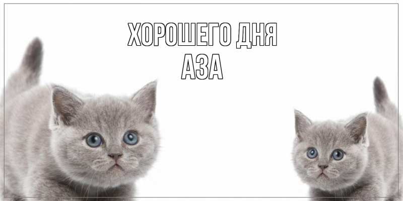 Картинка Хорошего дня, Аза