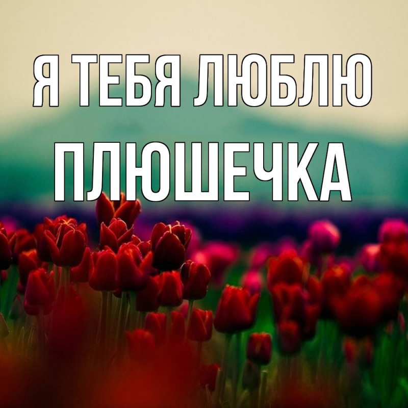 Картинка Я тебя люблю, Плюшечка
