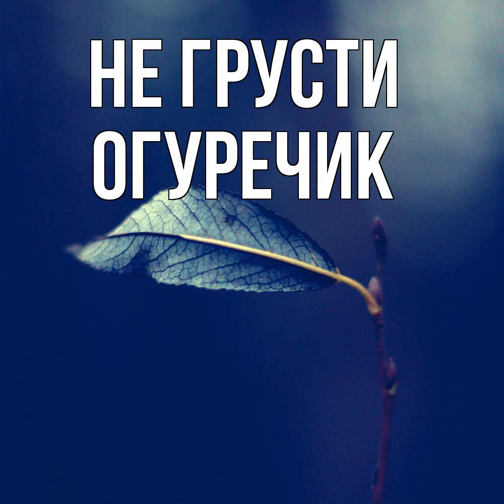 Открытка на каждый день с именем, Огуречик Не грусти растение Прикольная открытка с пожеланием онлайн скачать бесплатно 