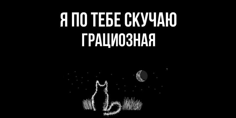Картинка Я по тебе скучаю, грациозная