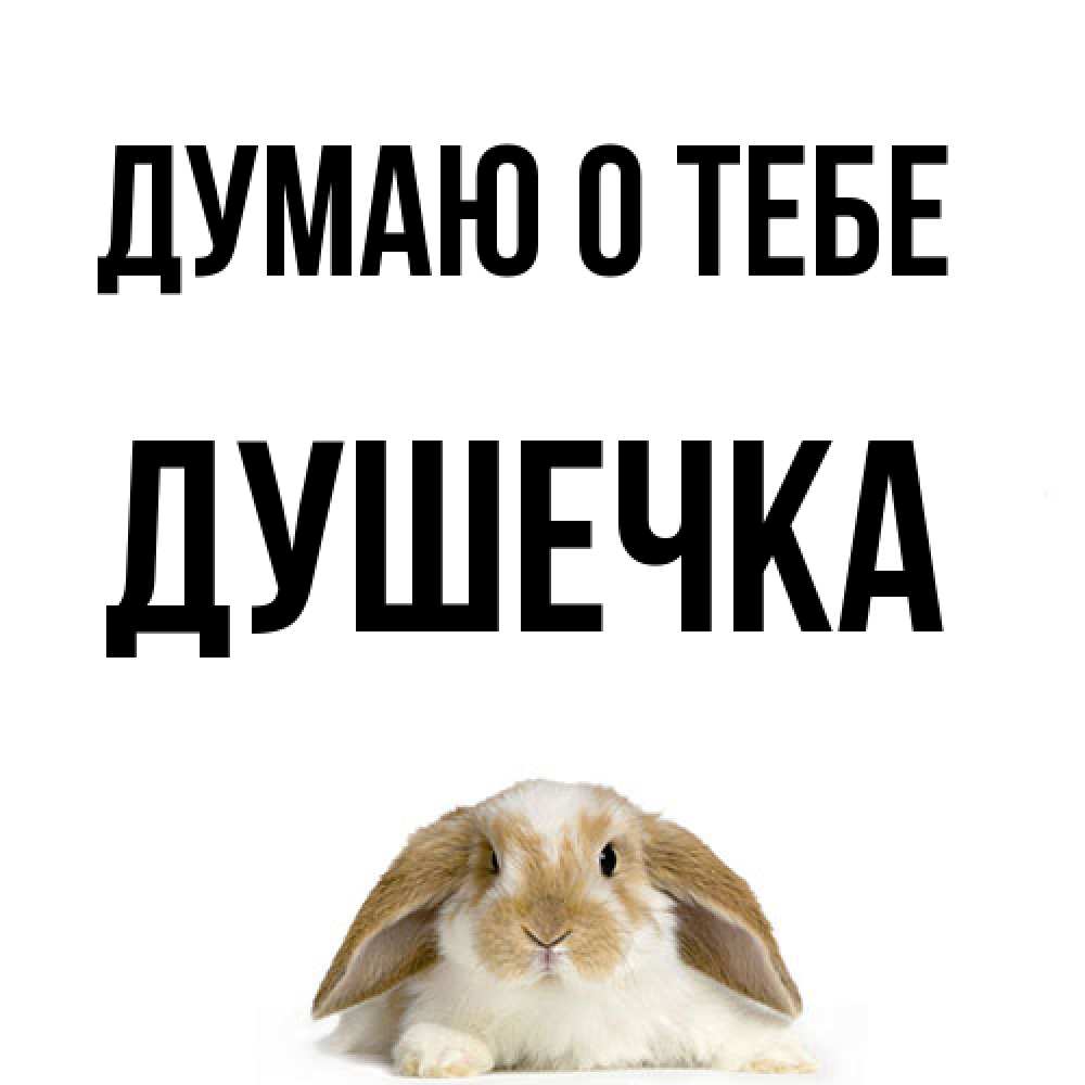 Открытка на каждый день с именем, душечка Думаю о тебе подписать своими руками онлайн Прикольная открытка с пожеланием онлайн скачать бесплатно 