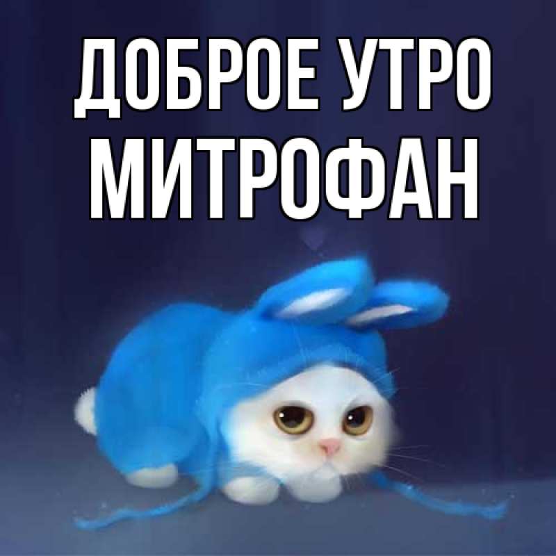 Картинка Доброе утро, Митрофан