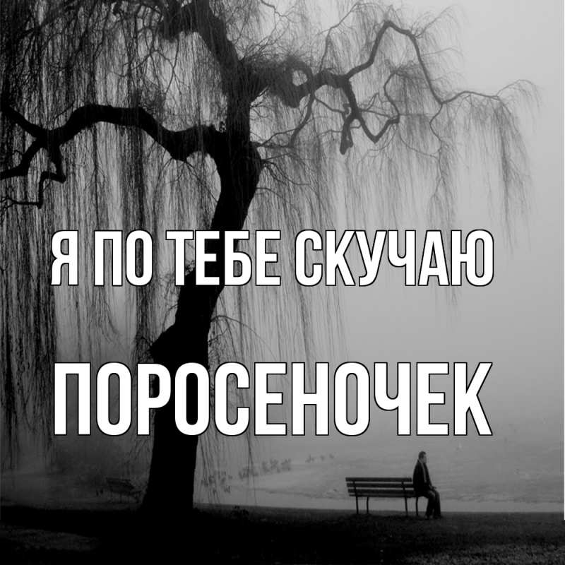 Картинка Я по тебе скучаю, поросеночек