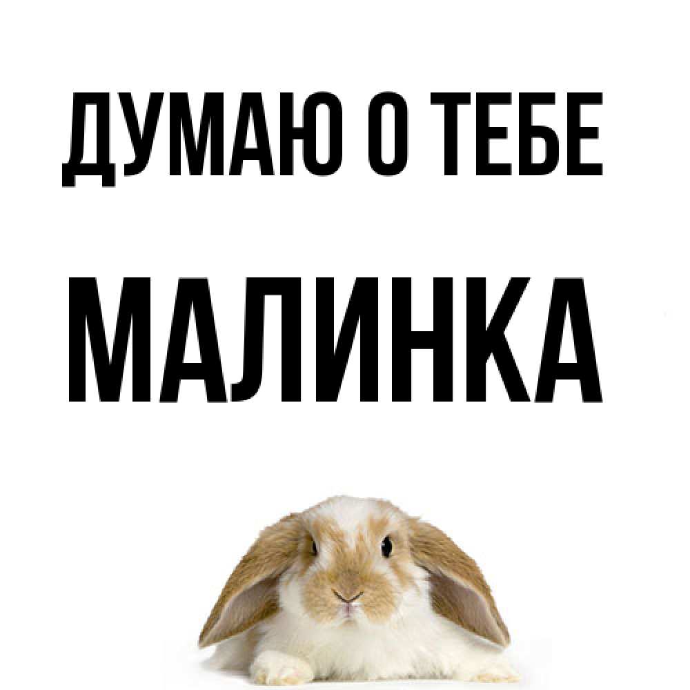 Открытка на каждый день с именем, Малинка Думаю о тебе подписать своими руками онлайн Прикольная открытка с пожеланием онлайн скачать бесплатно 