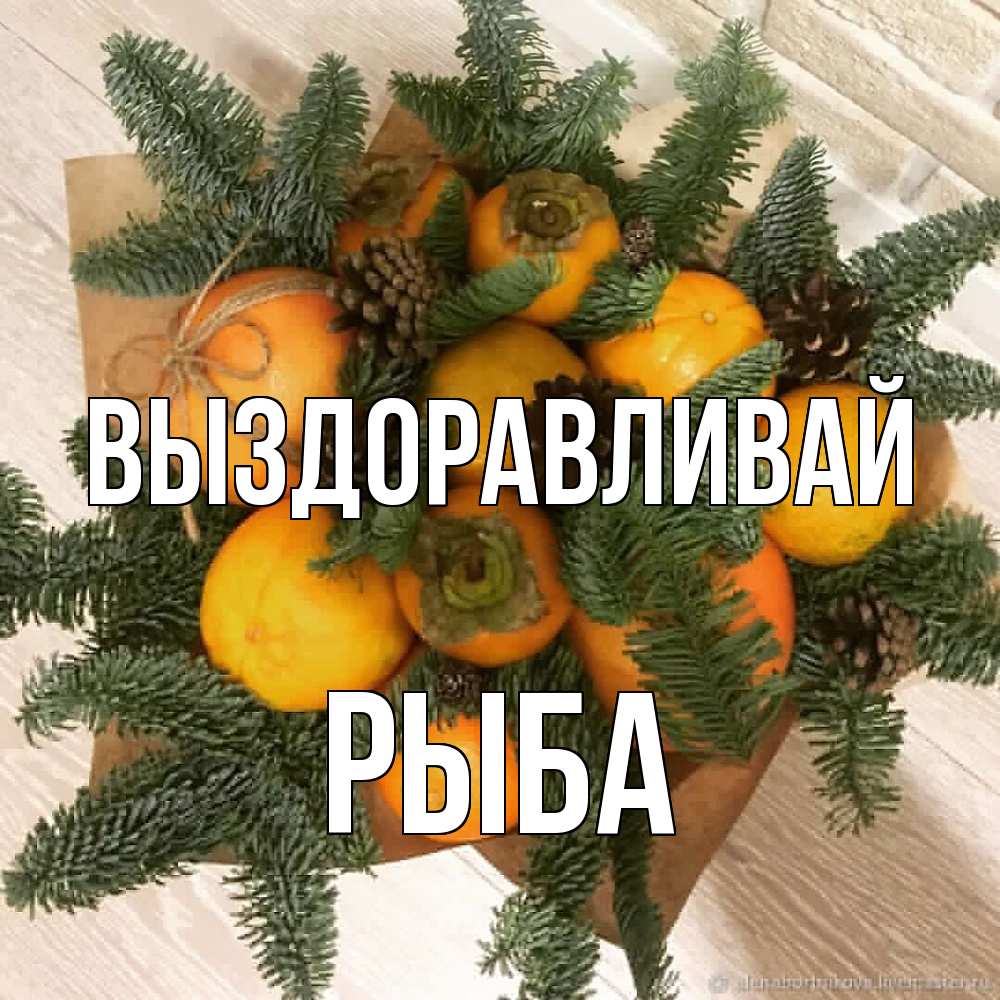 Открытка на каждый день с именем, Рыба Выздоравливай апельсины и хурьма Прикольная открытка с пожеланием онлайн скачать бесплатно 