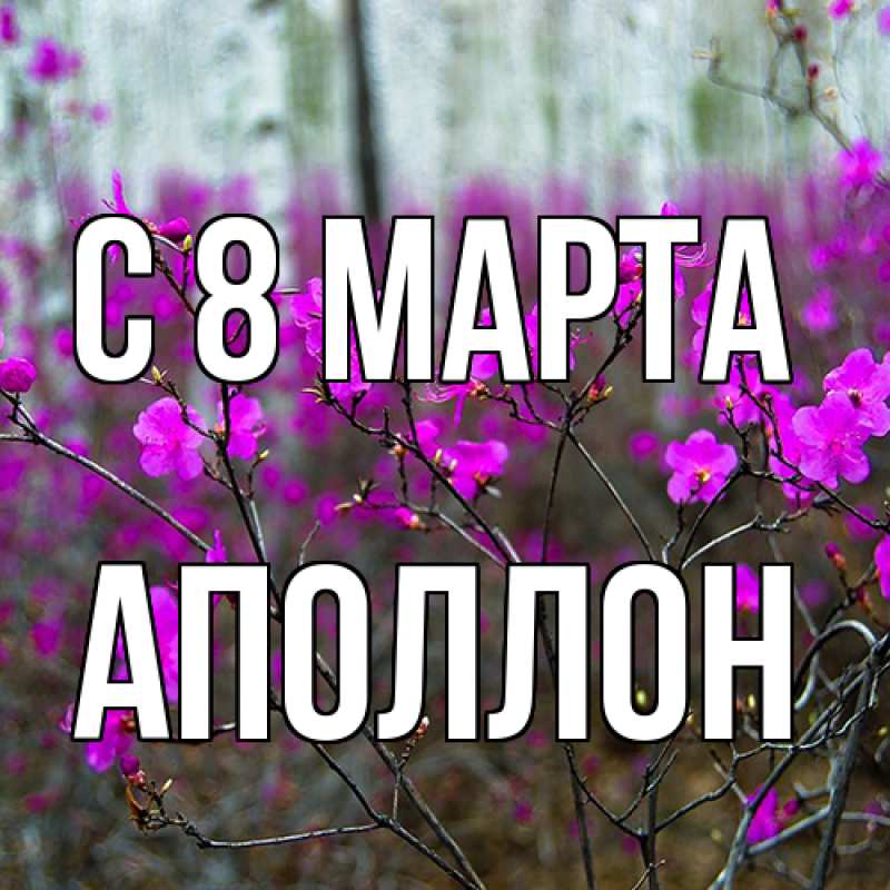 Картинка C 8 МАРТА, Аполлон