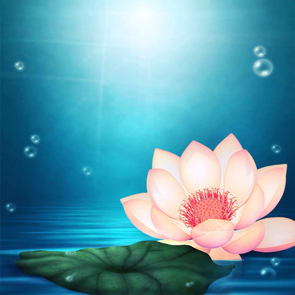 Открытка на каждый день с именем, Толстячок С днем ангела кувшинка Прикольная открытка с пожеланием онлайн скачать бесплатно 