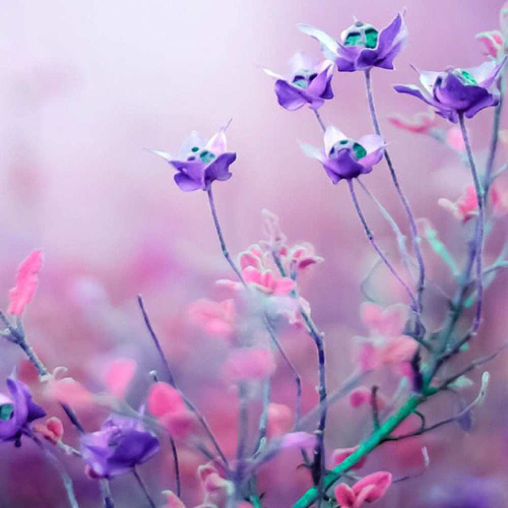 Открытка на каждый день с именем, мурлыка C 8 МАРТА международный женский день 2 Прикольная открытка с пожеланием онлайн скачать бесплатно 