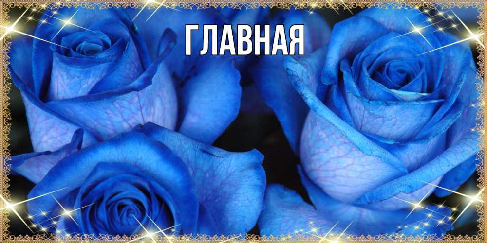 Открытка на каждый день с именем, Анна Главная красивые розы для милых дам на международный женский день Прикольная открытка с пожеланием онлайн скачать бесплатно 