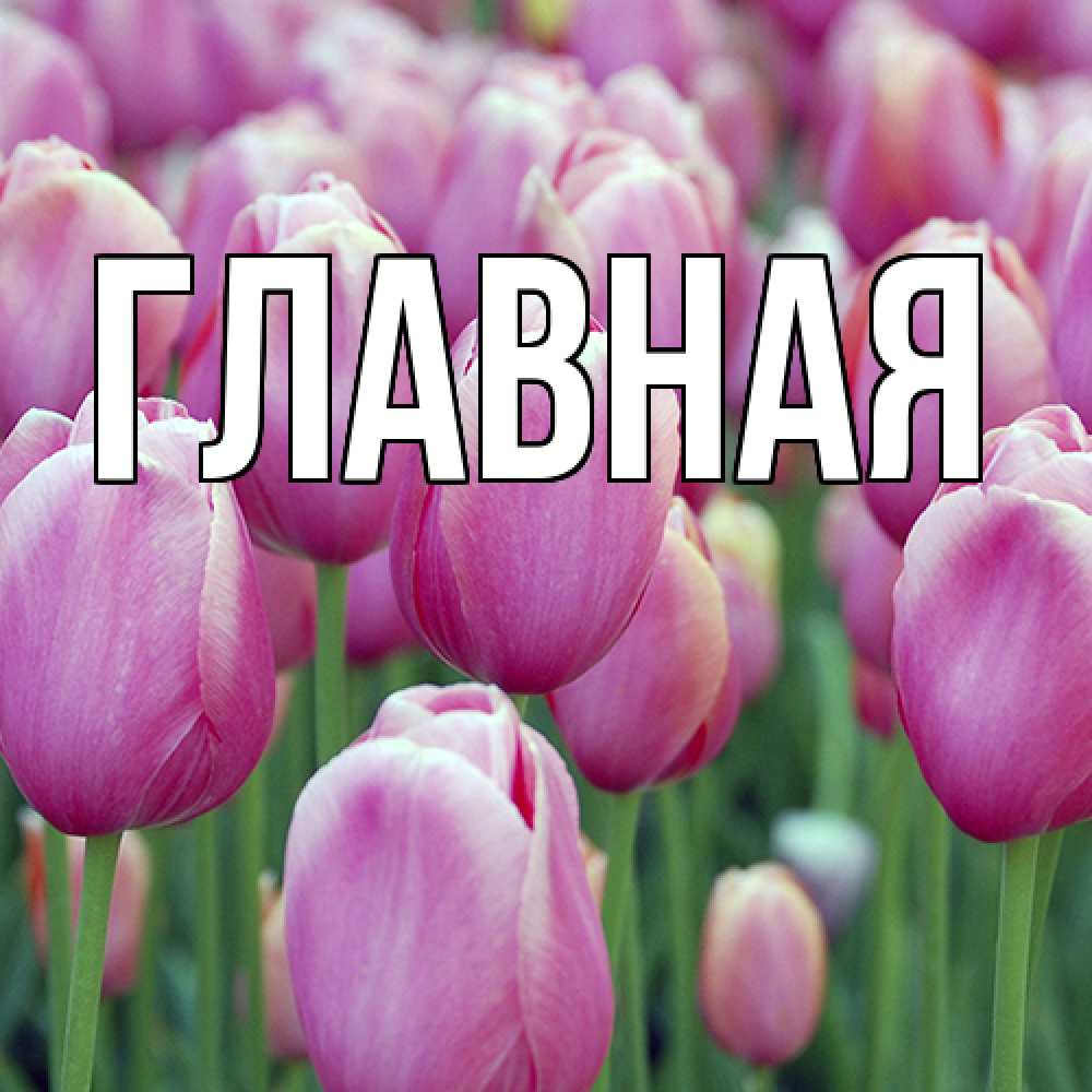 Открытка на каждый день с именем, настя Главная на международный женский день 3 Прикольная открытка с пожеланием онлайн скачать бесплатно 