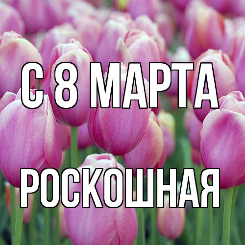 Картинка C 8 МАРТА, Роскошная