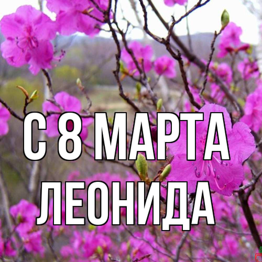 Открытка на каждый день с именем, Леонида C 8 МАРТА международный женский день Прикольная открытка с пожеланием онлайн скачать бесплатно 