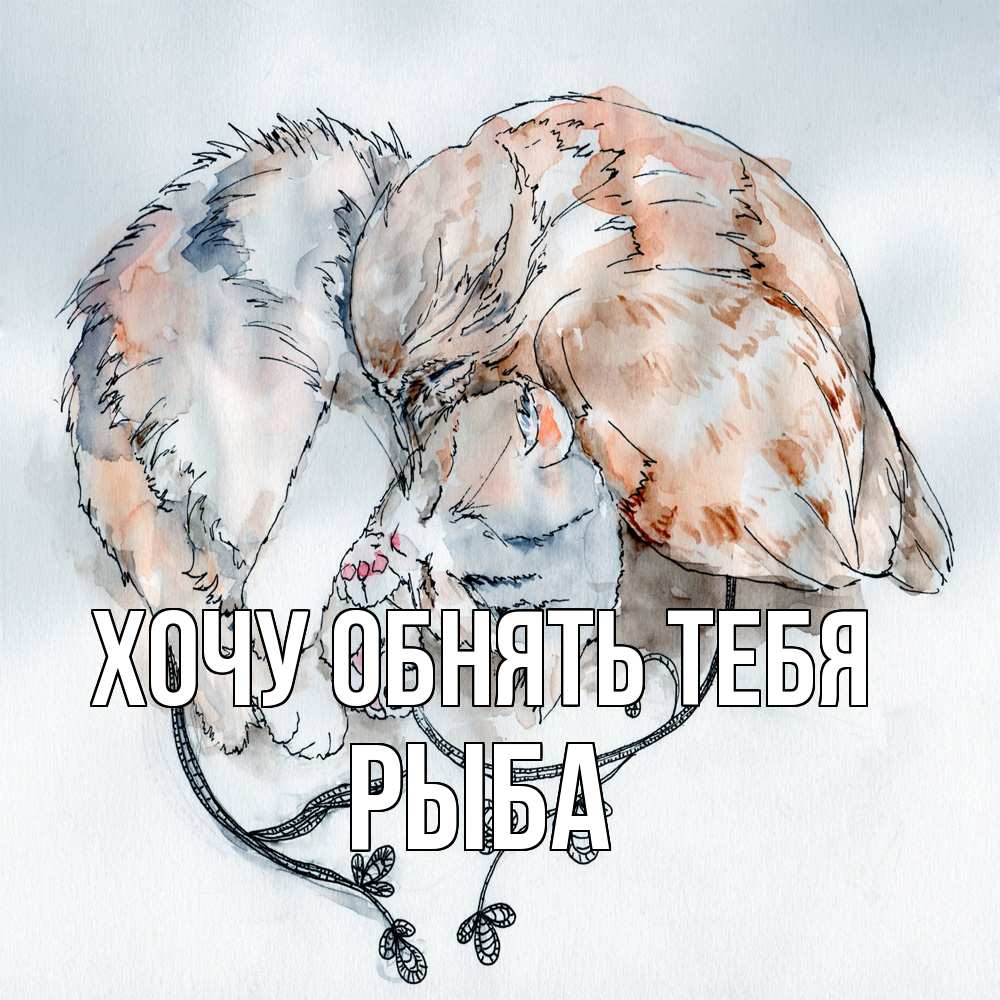 Открытка на каждый день с именем, Рыба Хочу обнять тебя можно быть вместе даже когда очень разные Прикольная открытка с пожеланием онлайн скачать бесплатно 
