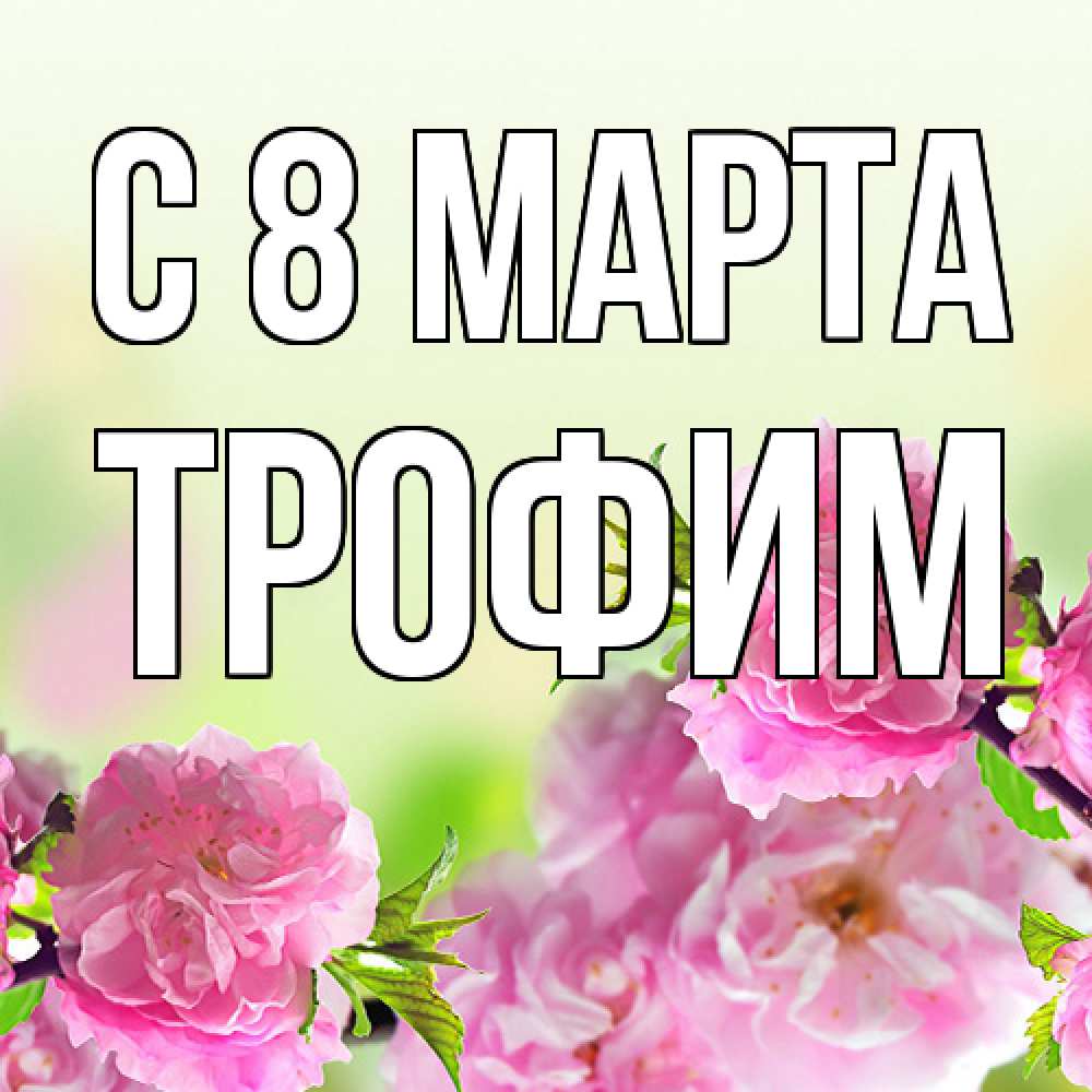 Открытка на каждый день с именем, Трофим C 8 МАРТА цветы Прикольная открытка с пожеланием онлайн скачать бесплатно 