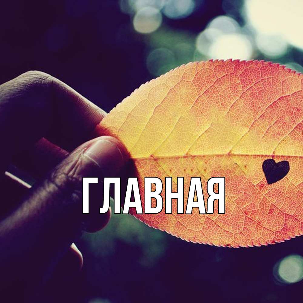 Открытка на каждый день с именем, настя Главная держу лист Прикольная открытка с пожеланием онлайн скачать бесплатно 