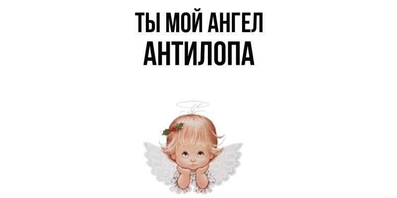 Картинка Ты мой ангел, антилопа