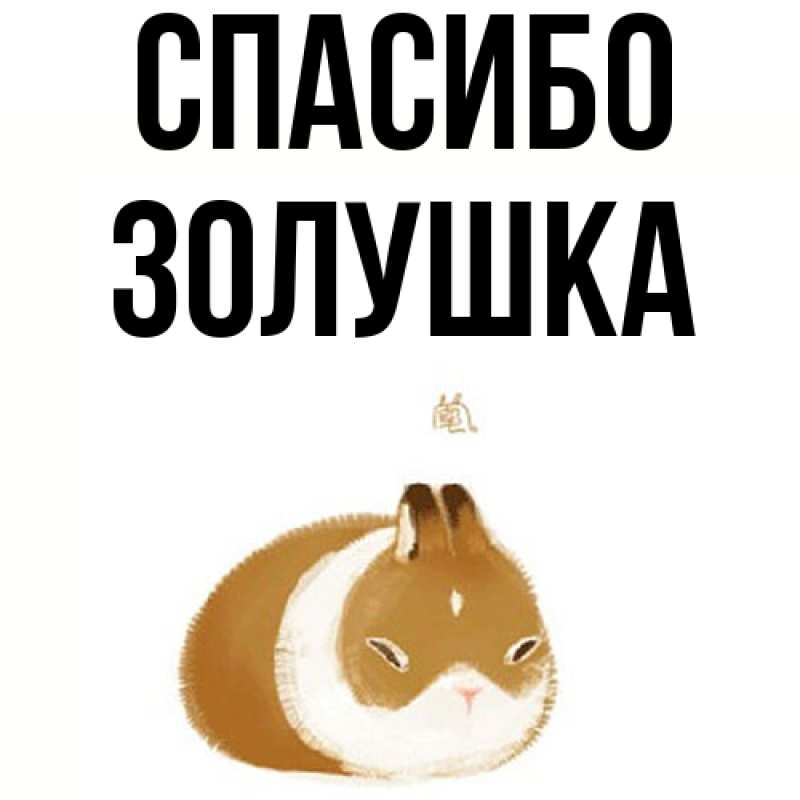 Картинка Спасибо, Золушка