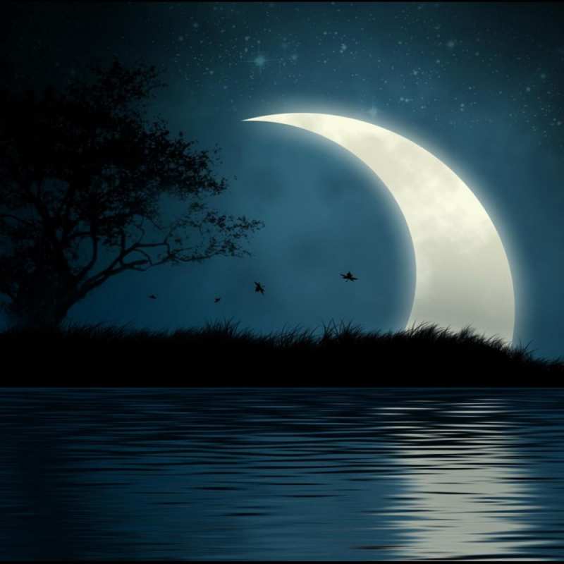 Картинка Спокойной ночи, Радосвета