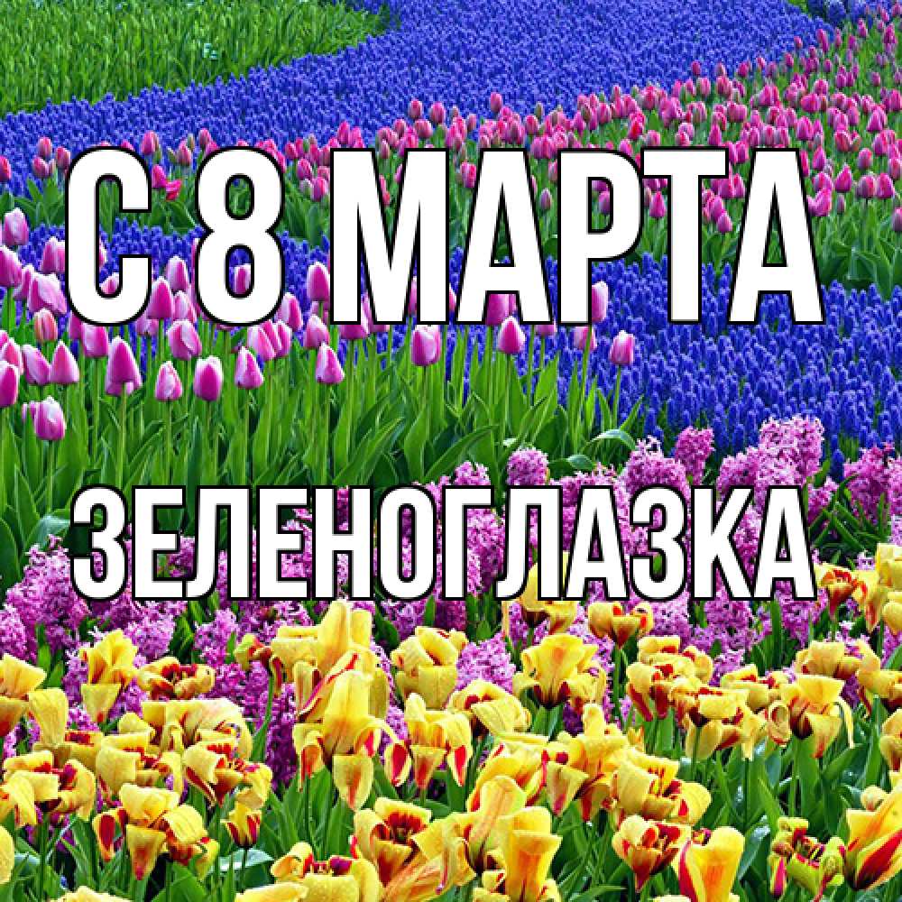 Открытка на каждый день с именем, зеленоглазка C 8 МАРТА цветы Прикольная открытка с пожеланием онлайн скачать бесплатно 