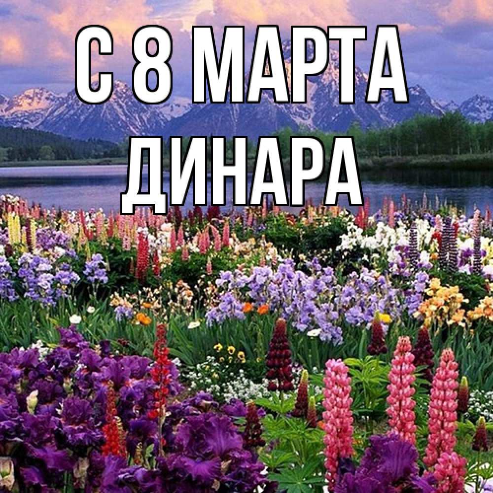 Открытка на каждый день с именем, Динара C 8 МАРТА международный женский день Прикольная открытка с пожеланием онлайн скачать бесплатно 