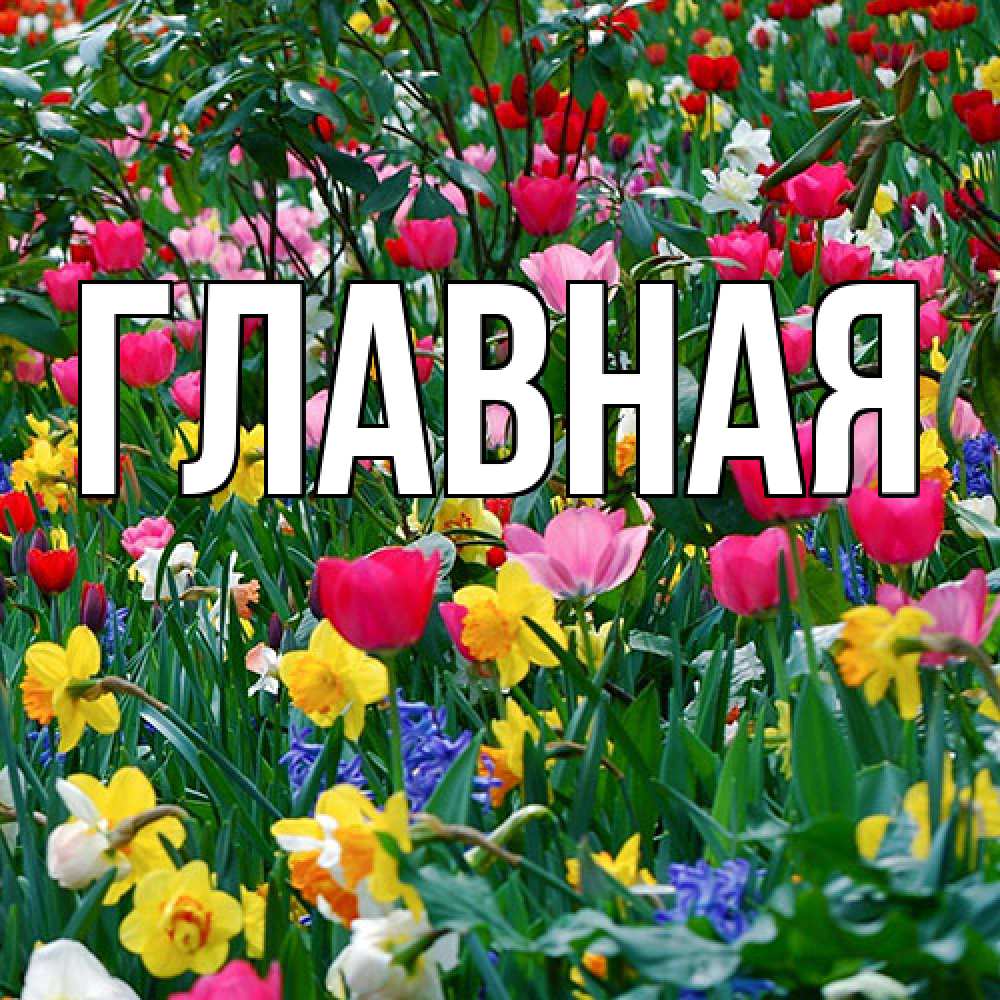 Открытка на каждый день с именем, Анна Главная с международным женским днем поздравления для женщины Прикольная открытка с пожеланием онлайн скачать бесплатно 