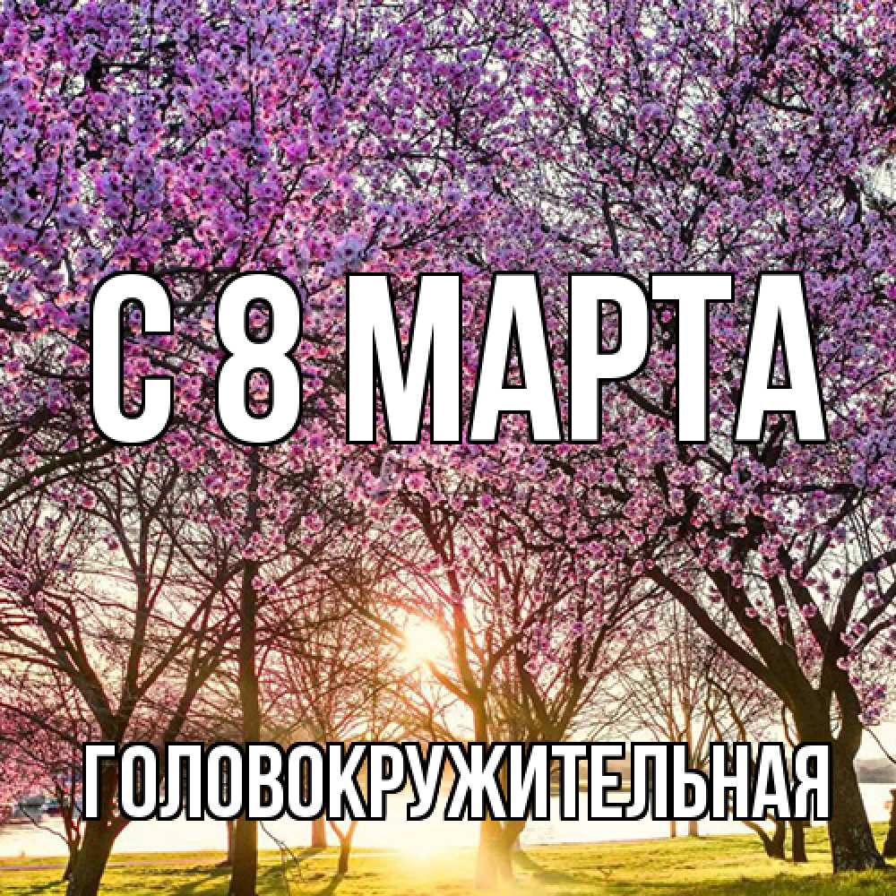 Открытка на каждый день с именем, Головокружительная C 8 МАРТА международный женский день Прикольная открытка с пожеланием онлайн скачать бесплатно 